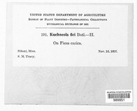 Image Associated With the Occurence